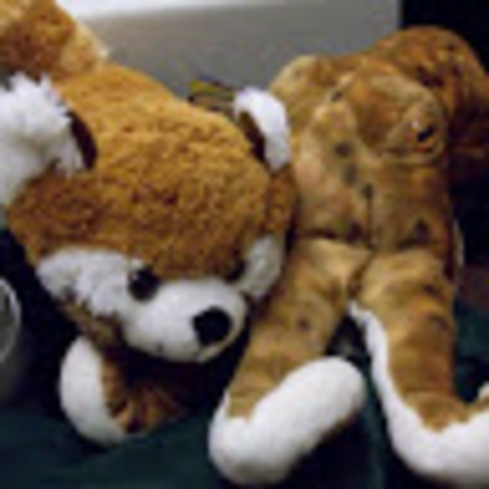 Meet your Posher, Caiten